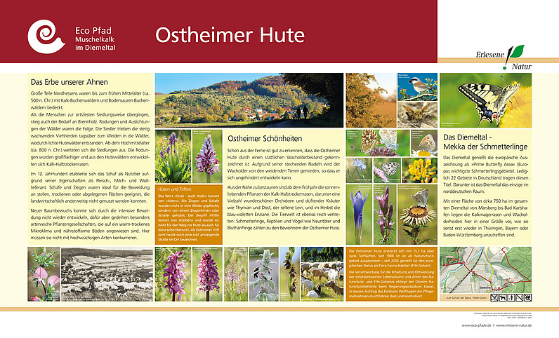 Tafel "Ostheimer Hute"